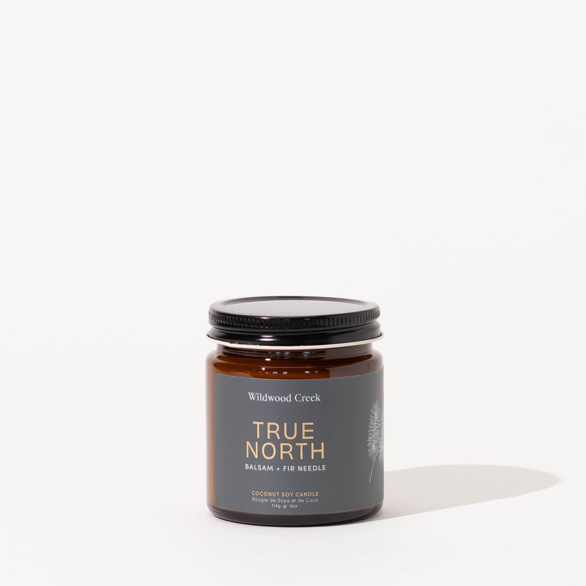 TRUE NORTH